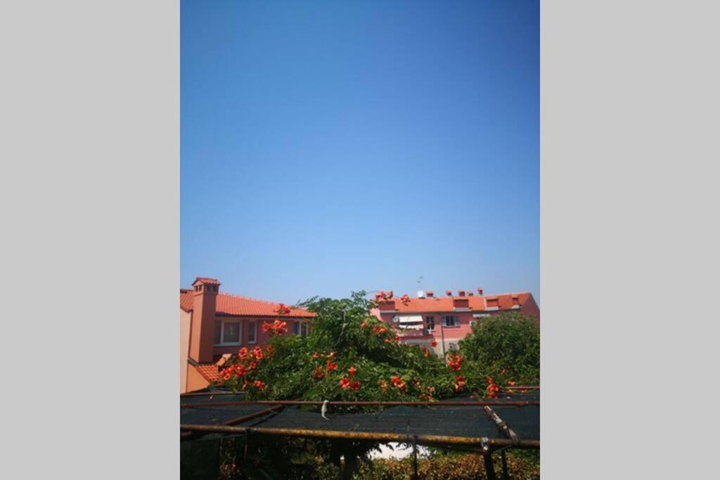 Appartement Casa Di Nonna Pina, Kuca U Blizini Arene à Pula Extérieur photo